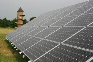 ground mounted solar panels goat farm