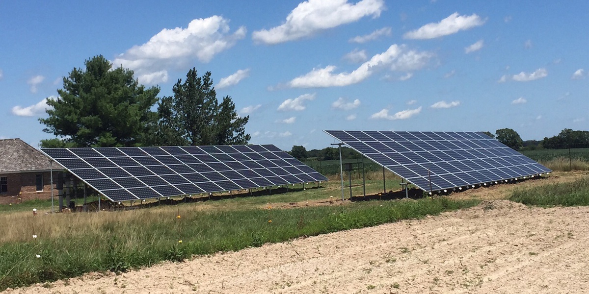 ground mounted solar panels goat farm
