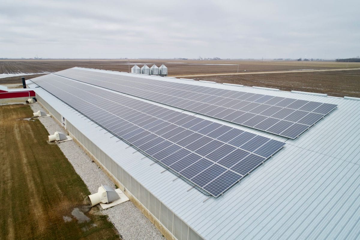 RoofMounted Solar System for Livestock Facility near