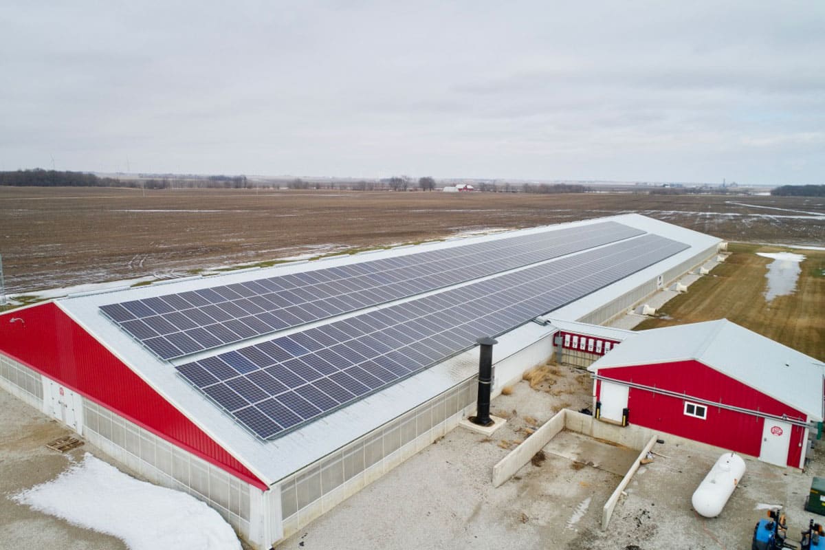 RoofMounted Solar System for Livestock Facility near