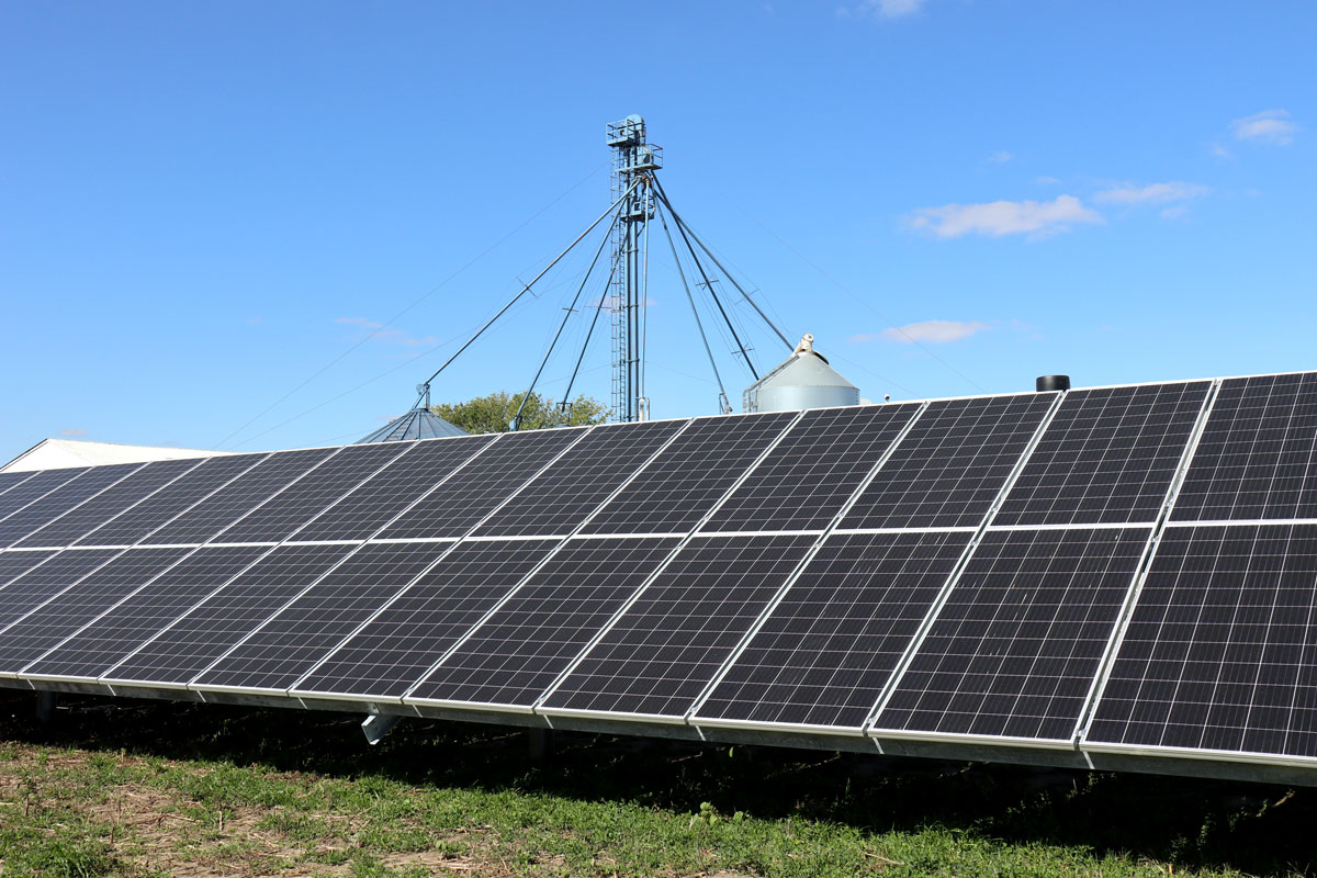 Ground mounted solar arrays for hog and grain farm