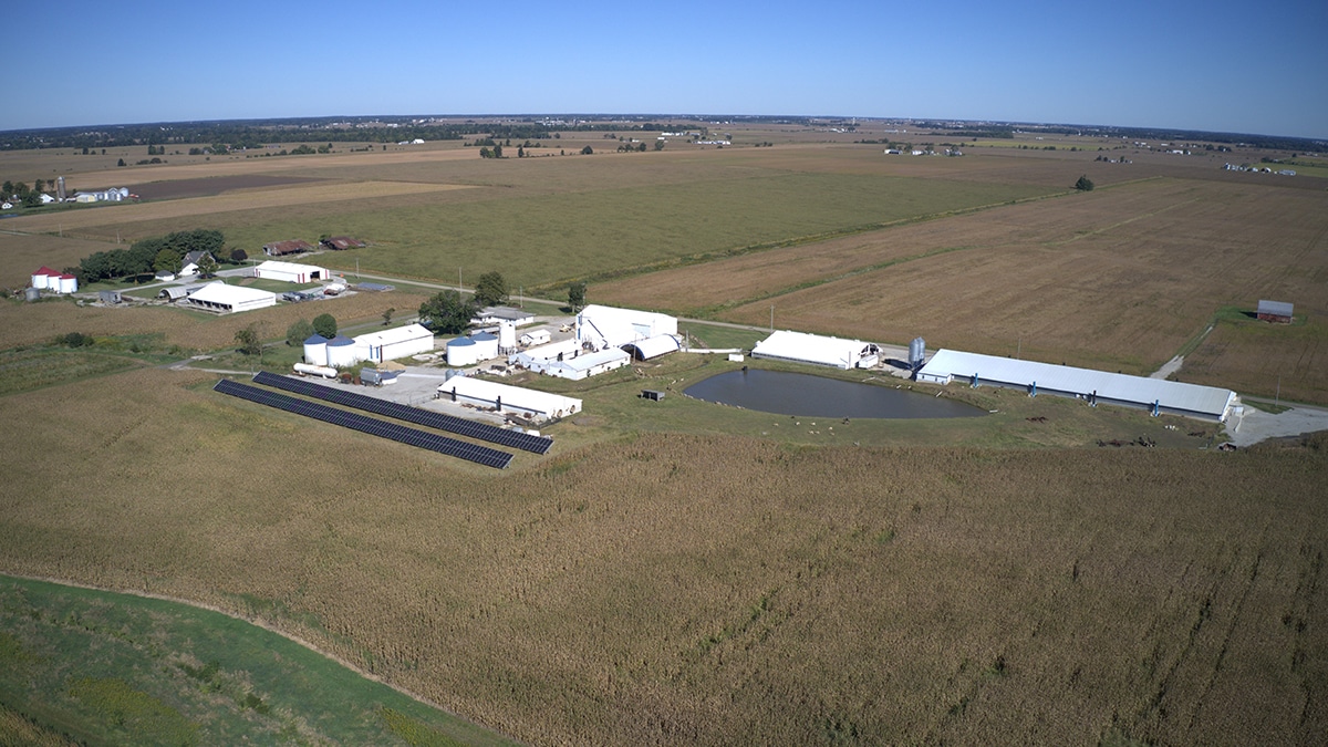 Ground Mounted Solar Array