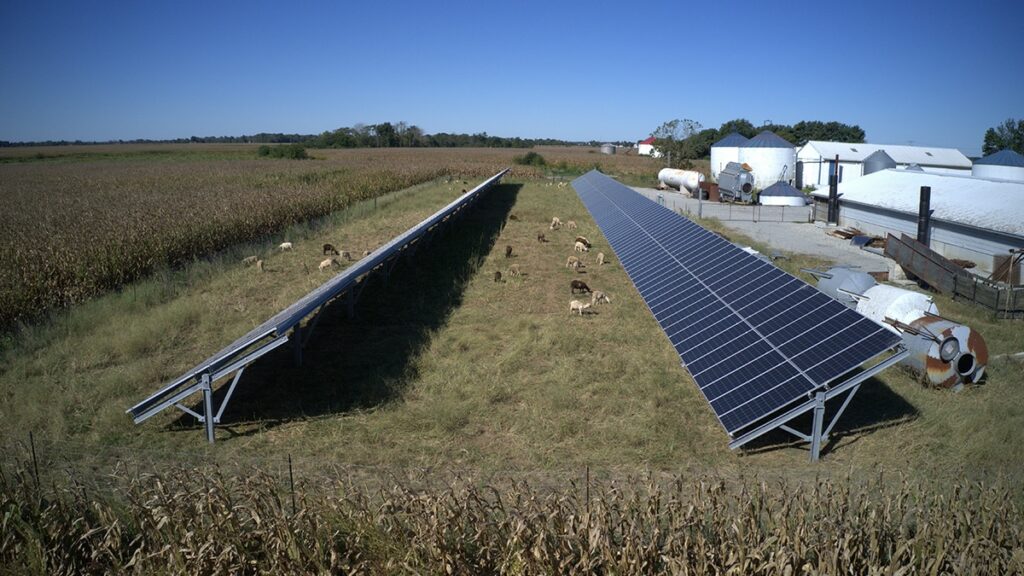 Ground Mounted Solar Array