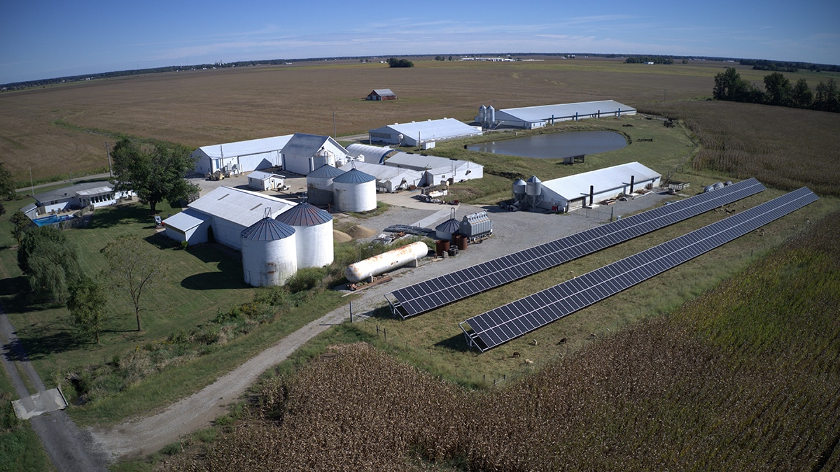 Ground Mounted Solar Array