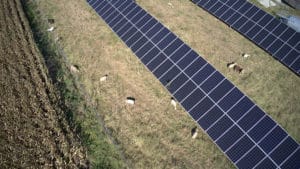 Two rows of ground-mounted solar panels on a commercial property.