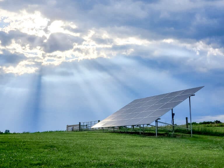 Ground-Mounted Solar Panels