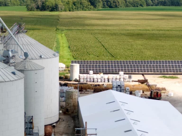 Agribusiness