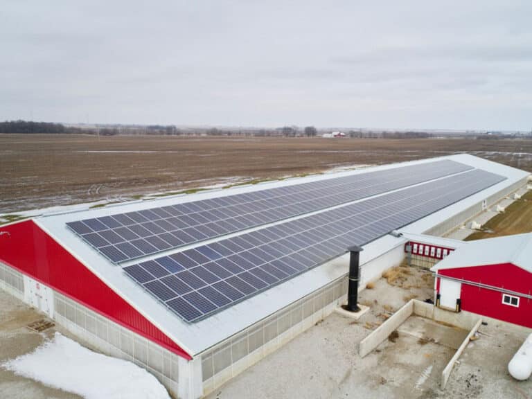 Roof-Mounted Solar Panels