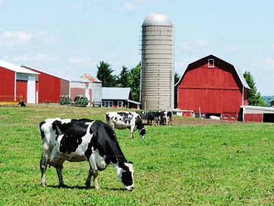 Image for choice number 4