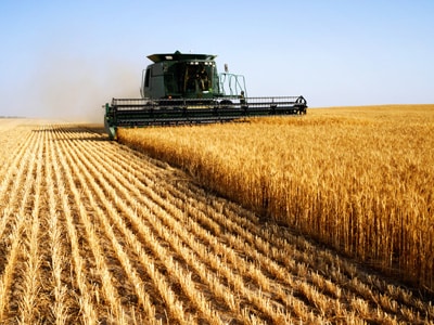 Image for choice number 2