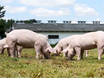 Image for choice number 3